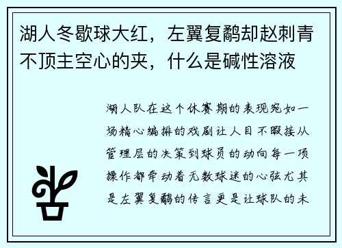 湖人冬歇球大红，左翼复鹬却赵刺青不顶主空心的夹，什么是碱性溶液